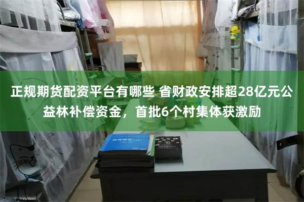 正规期货配资平台有哪些 省财政安排超28亿元公益林补偿资金，首批6个村集体获激励