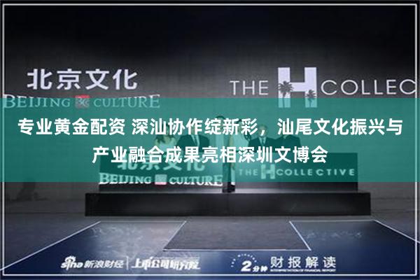 专业黄金配资 深汕协作绽新彩，汕尾文化振兴与产业融合成果亮相深圳文博会