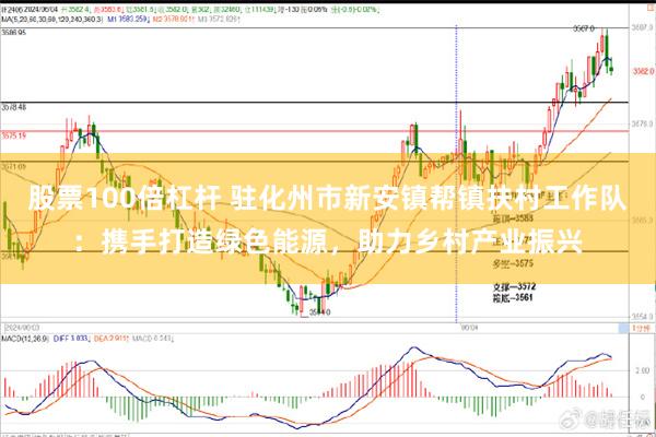 股票100倍杠杆 驻化州市新安镇帮镇扶村工作队：携手打造绿色能源，助力乡村产业振兴