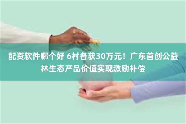 配资软件哪个好 6村各获30万元！广东首创公益林生态产品价值实现激励补偿