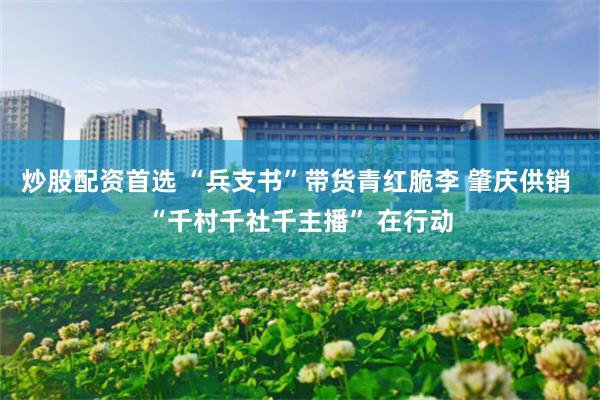 炒股配资首选 “兵支书”带货青红脆李 肇庆供销 “千村千社千主播” 在行动