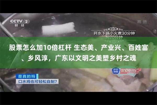 股票怎么加10倍杠杆 生态美、产业兴、百姓富、乡风淳，广东以文明之美塑乡村之魂