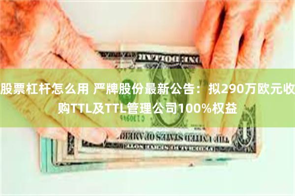 股票杠杆怎么用 严牌股份最新公告：拟290万欧元收购TTL及TTL管理公司100%权益