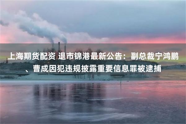 上海期货配资 退市锦港最新公告：副总裁宁鸿鹏、曹成因犯违规披露重要信息罪被逮捕