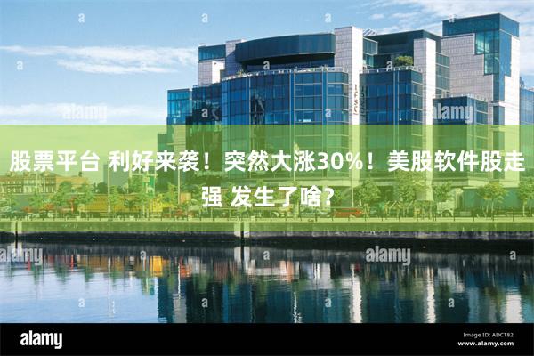 股票平台 利好来袭！突然大涨30%！美股软件股走强 发生了啥？