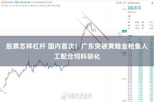 股票怎样杠杆 国内首次!广东突破黄鳍金枪鱼人工配合饲料驯化