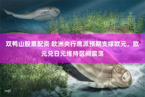 双鸭山股票配资 欧洲央行鹰派预期支撑欧元，欧元兑日元维持区间震荡