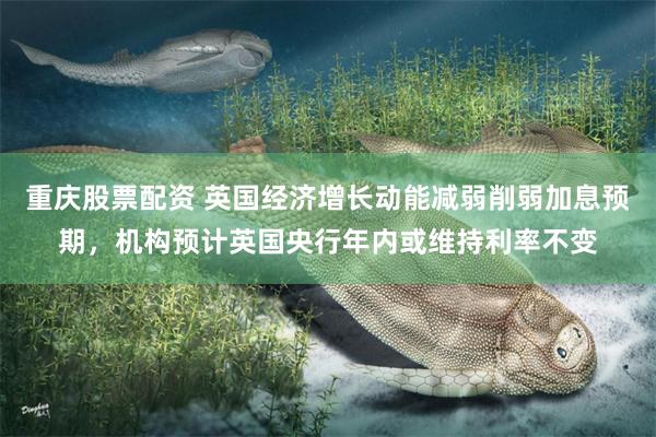 重庆股票配资 英国经济增长动能减弱削弱加息预期，机构预计英国央行年内或维持利率不变
