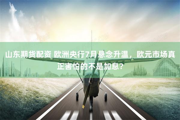 山东期货配资 欧洲央行7月悬念升温，欧元市场真正害怕的不是加息？