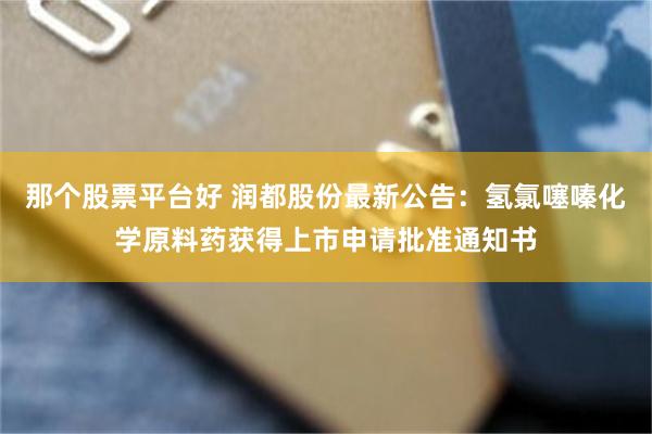 那个股票平台好 润都股份最新公告：氢氯噻嗪化学原料药获得上市申请批准通知书