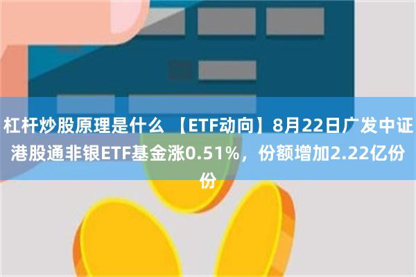 杠杆炒股原理是什么 【ETF动向】8月22日广发中证港股通非银ETF基金涨0.51%，份额增加2.22亿份