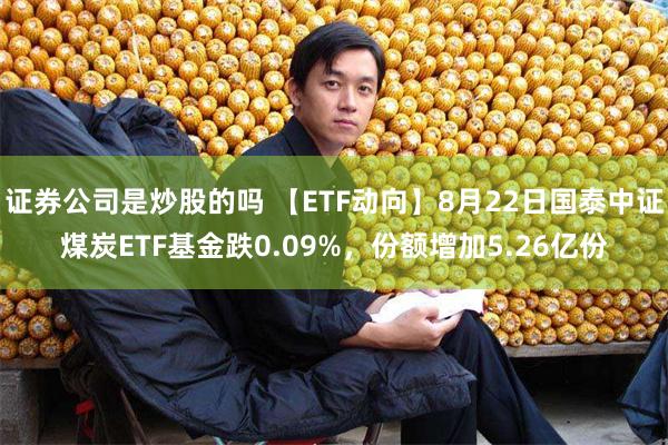 证券公司是炒股的吗 【ETF动向】8月22日国泰中证煤炭ETF基金跌0.09%，份额增加5.26亿份