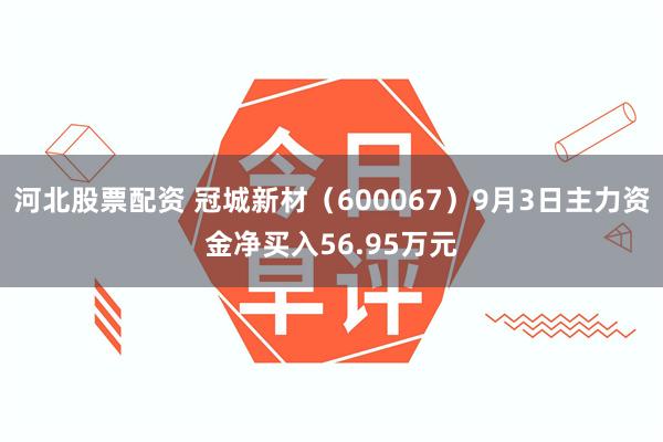 河北股票配资 冠城新材（600067）9月3日主力资金净买入56.95万元