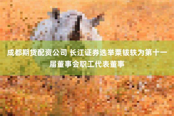 成都期货配资公司 长江证券选举粟钹轶为第十一届董事会职工代表董事