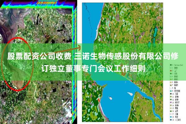 股票配资公司收费 三诺生物传感股份有限公司修订独立董事专门会议工作细则