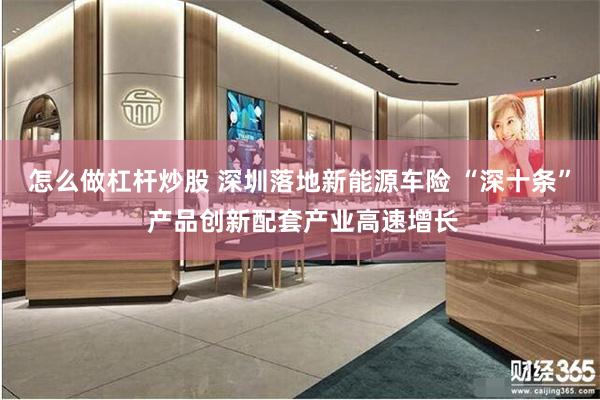 怎么做杠杆炒股 深圳落地新能源车险 “深十条” 产品创新配套产业高速增长