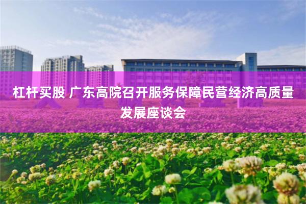 杠杆买股 广东高院召开服务保障民营经济高质量发展座谈会