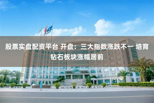 股票实盘配资平台 开盘：三大指数涨跌不一 培育钻石板块涨幅居前