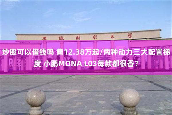 炒股可以借钱吗 售12.38万起/两种动力三大配置梯度 小鹏MONA L03每款都很香？