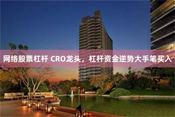 网络股票杠杆 CRO龙头，杠杆资金逆势大手笔买入