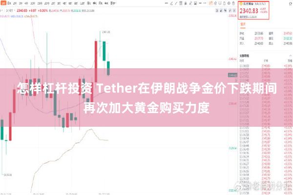 怎样杠杆投资 Tether在伊朗战争金价下跌期间再次加大黄金购买力度