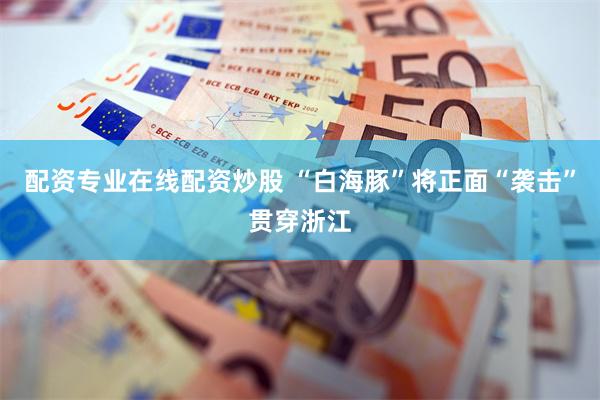 配资专业在线配资炒股 “白海豚”将正面“袭击”贯穿浙江
