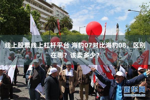线上股票线上杠杆平台 海豹07对比海豹08，区别在哪？该卖多少？
