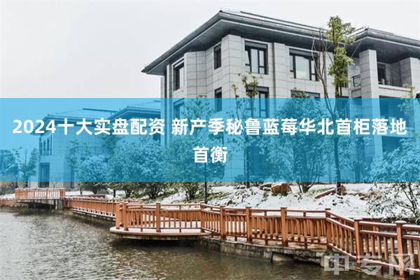 2024十大实盘配资 新产季秘鲁蓝莓华北首柜落地首衡