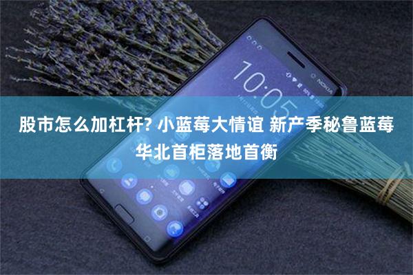 股市怎么加杠杆? 小蓝莓大情谊 新产季秘鲁蓝莓华北首柜落地首衡