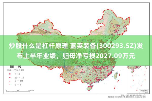 炒股什么是杠杆原理 蓝英装备(300293.SZ)发布上半年业绩，归母净亏损2027.09万元