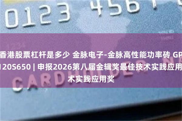 香港股票杠杆是多少 金脉电子-金脉高性能功率砖 GPB120S650 | 申报2026第八届金辑奖最佳技术实践应用奖