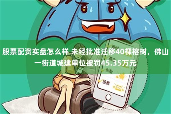 股票配资实盘怎么样 未经批准迁移40棵榕树，佛山一街道城建单位被罚45.35万元