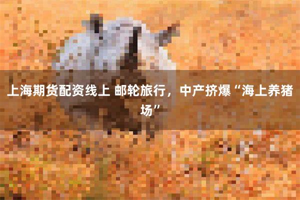 上海期货配资线上 邮轮旅行,中产挤爆“海上养猪场”