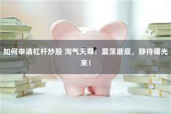 如何申请杠杆炒股 淘气天尊:震荡磨底,静待曙光来!